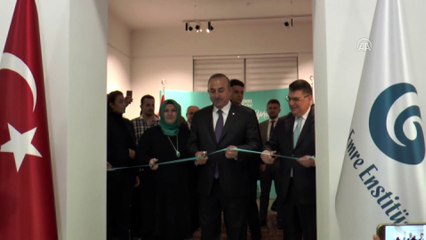 Çavuşoğlu: 'YEE'yi ülkeler ile ülkemiz arasında dostluk köprüsü olarak görüyoruz' - VİYANA