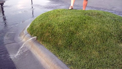 Waterbed Made from Turf