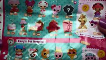 Surprise Toys Lalaloopsy Tinies RARE Num Noms 3 Paw Patrol Mashem Series Pokemon Egg Littlest Shop