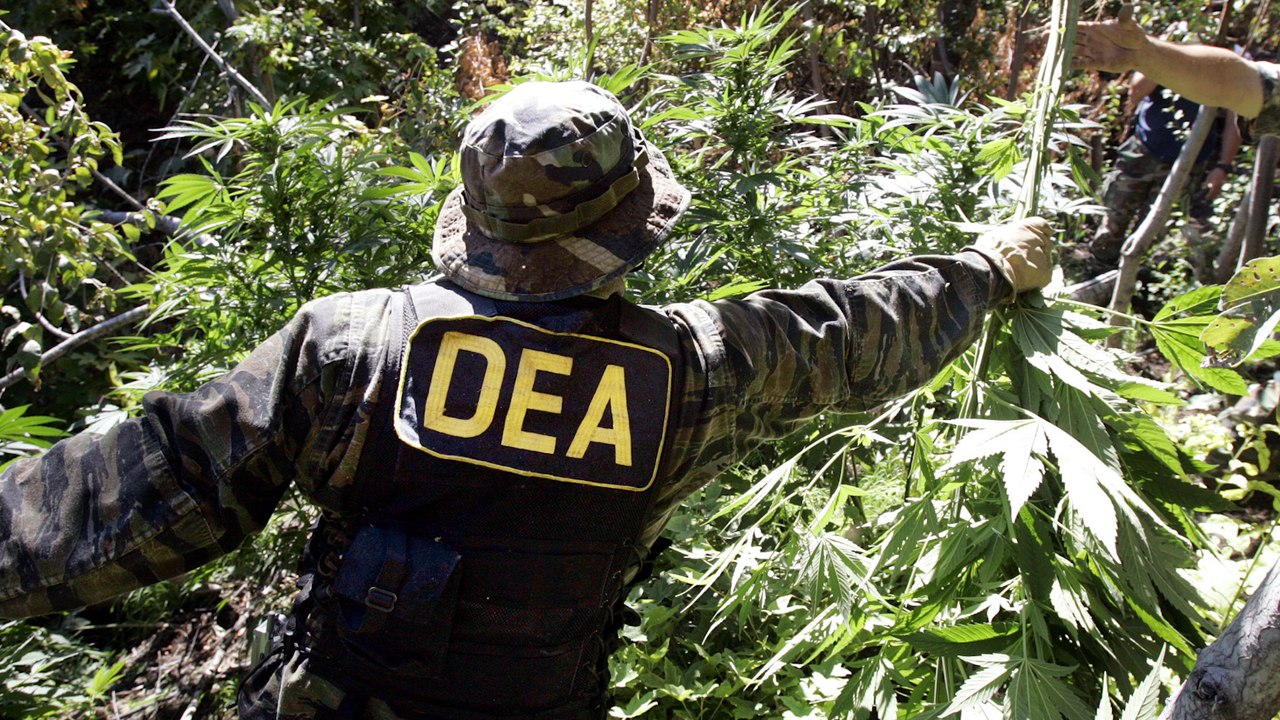 How Marijuana Prohibition Was Rooted in Racism