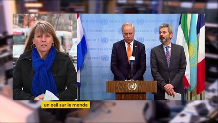 Syrie : le Conseil de sécurité de l'ONU exige un nouveau cessez-le-feu