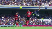 Nico Castillo, Matias Britos, Pablo Barrera ● Mejoes Goles y Jugadas ● Pumas ● 2017 HD