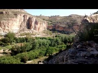 sonidos de la naturaleza,relaxing,music ,sounds.