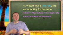 Отсутствие артикля у существительных. Урок английского для начинающих