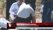 ONG mexicana indica reducción de homicidios en Honduras
