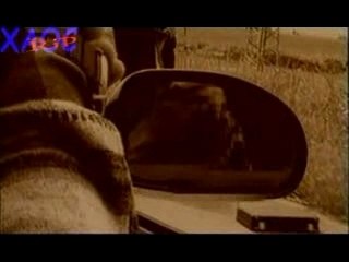 Rado Shisharkata-Beli ptici