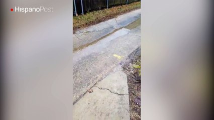 Vecino evitó una tragedia al detectar una fuga de gas