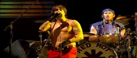 Red Hot Chili Peppers - Purple Stain - Live at Slane Castle [HD]