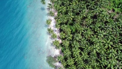 Meet Cass' Island: One of the Prettiest Places to Surf on Earth