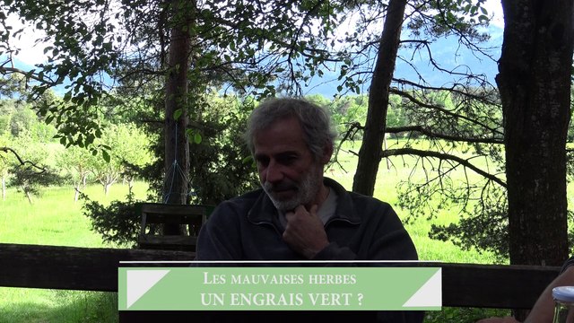 Brique 2 - Didier - engrais vert