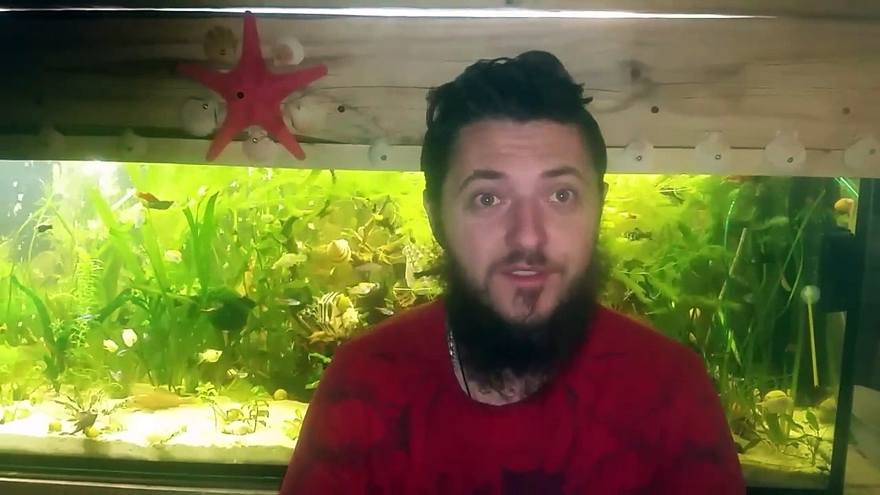 60.Jak nie robic -i jak robic nalewke ze szczec zastosowanie nalewki