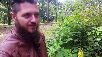 62.Dziwanna wasciwosci magiczne