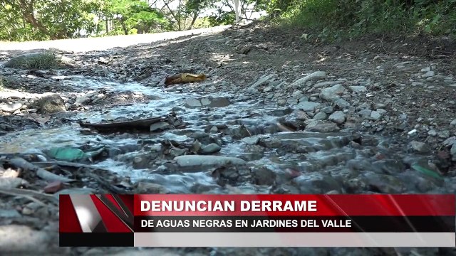 Denuncian derrame de aguas negras en Jardines del Valle