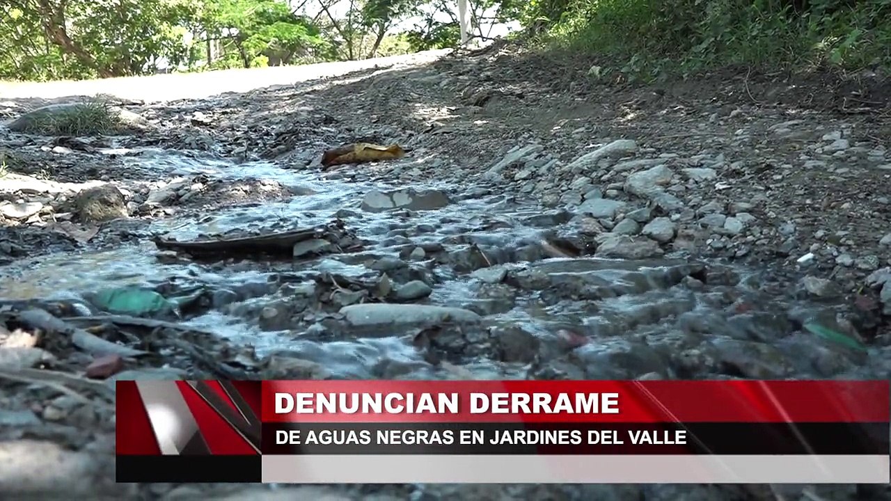 Denuncian derrame de aguas negras en Jardines del Valle