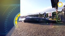 In 60 Seconds: Beached Whale Had 30 Plastic Bags In Its Stomach