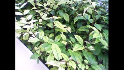 ВЛОГ #6 Тусуюсь в Тайланде. Море, Озеро и просто Тайская бытовуха.|Swasti Ji