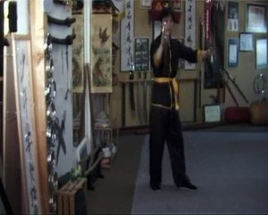 Butterfly Knives Form with Austin Goh Part 6