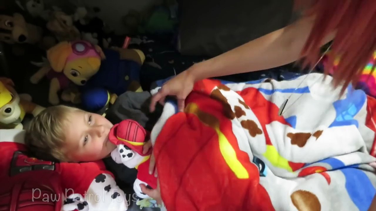 PAW PATROL Live Action Parody with Marshall in Real Life with New Paw Patrol Toy IRL