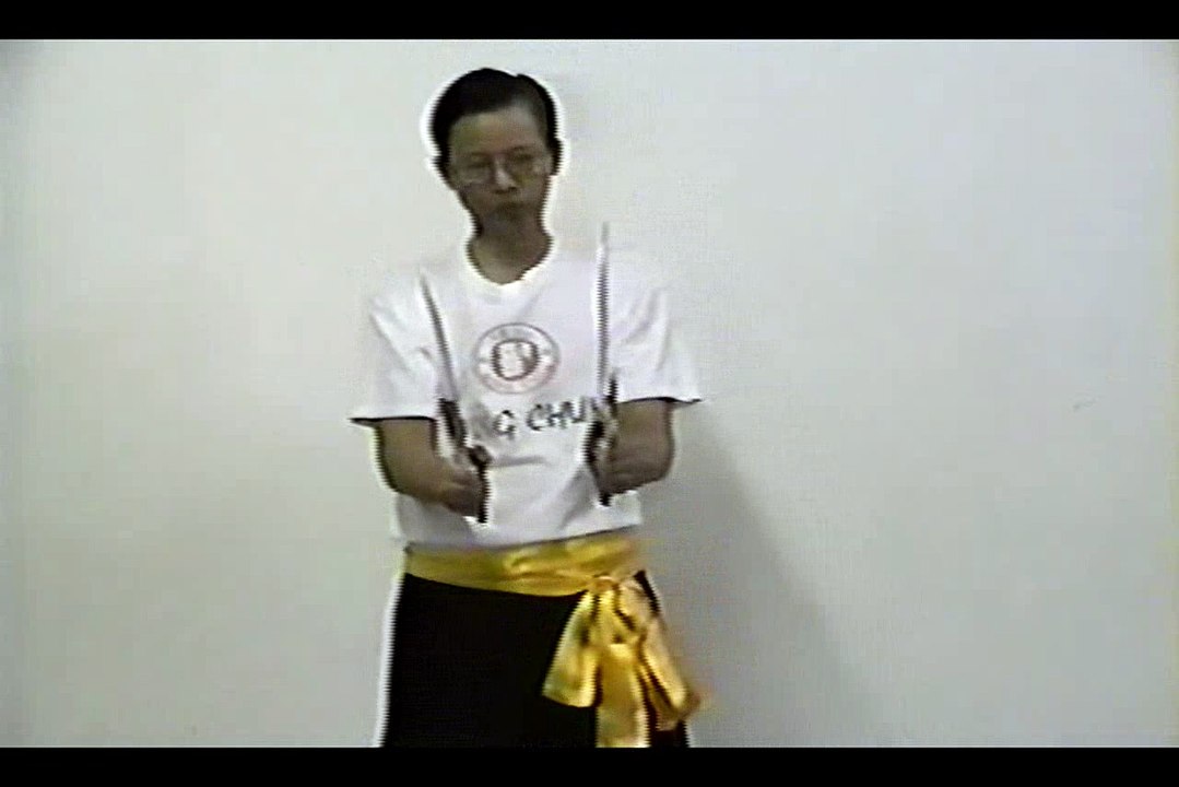 Wing Chun with Terence Yip Bart Cham Dao Form Part 7