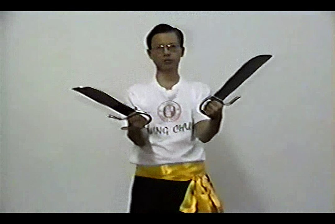 Wing Chun with Terence Yip Bart Cham Dao Form Part 9