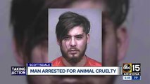 Man arrested for animal cruelty in Scottsdale