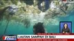 Miris! Laut Bali Penuh Sampah
