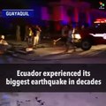 7.8 Magnitude Earthquake Hits Ecuador, 233 Dead