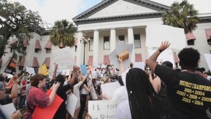 La Cámara baja de Florida aprueba una ley que busca restringir la compra de armas