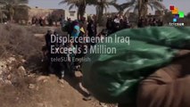 Displacement in Iraq Exceeds 3 Million