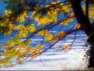 Baby Einstein Lullaby Time Soothing Sounds for Baby 5 Part 1