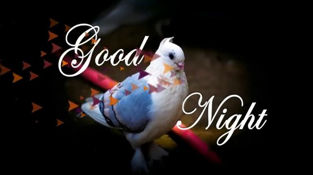 Good Night..Sweet Dreams...Wishes..Greetings..Whatsaap Video..Status...Message..Beautiful Quotes..