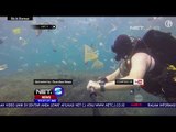 Video Viral Sampah Di Lautan Nusa Penida Jadi Pemberitaan Media Asing  NET 5