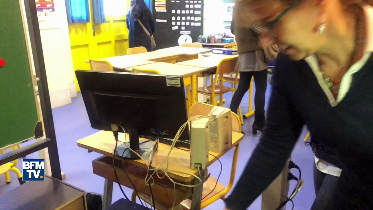 Des rats et des souris prolifèrent dans certaines écoles parisiennes