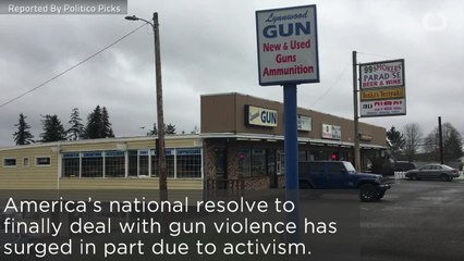 Want Gun Control Laws? Do It Yourself