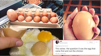 முட்டைக்குள் முட்டை ஆஸி..யில் அதிசயம்-வீடியோ