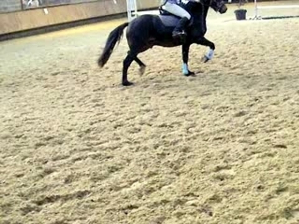 Oxer2