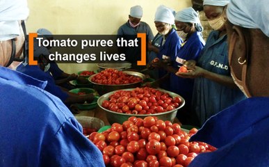 Burkina Faso: Tomato puree that changes lives