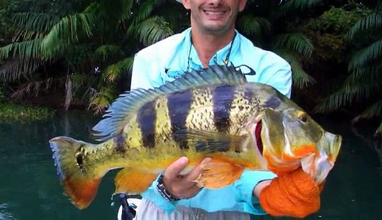 Extreme Fishing with Robson Green S03 E09 Panama Dailymotion Video