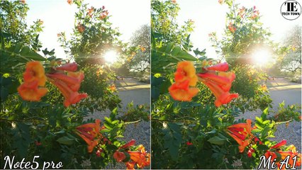 Redmi Note 5 Pro vs Mi A1 Camera Test Comparison