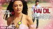 Hai Dil Ye Mera || Full Audio Song || Arijit Singh || Hate Story 2