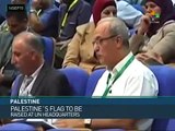 Palestinian Opinion Divided on Flag Raising