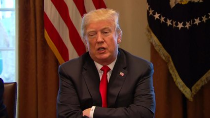 美 백악관 "멕시코·캐나다는 철강 관세 제외"...우리나라는? / YTN