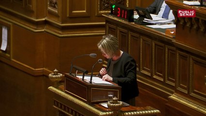 Descargar video: Retraites agricoles: Cécile Cukierman dénonce la position 