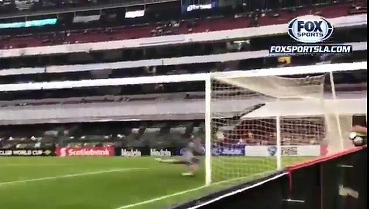 Joli arrêt d'un gardien de but