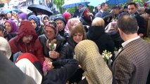 Bağcılar'da Kadınlar Günü'nde 25 bin adet sümbül dağıtıldı