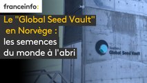 Le “Global Seed Vault“ en Norvège : les semences du monde à l'abri