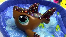 LPS Kinder Surprise Egg Chocolate Mystery Blind Bag Littlest Pet Shop Shark Toy Unboxing
