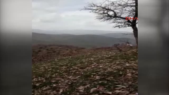 Bitlis'ten Acı Haber! Mayına Basan Güvenlik Korucusu Şehit Oldu