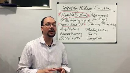 How to avoid kidney illness in their tracks