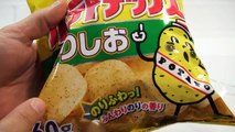 Calbee Nori-Shio Potato Chips & Ramune Melon Soda - Japanese Snacks!